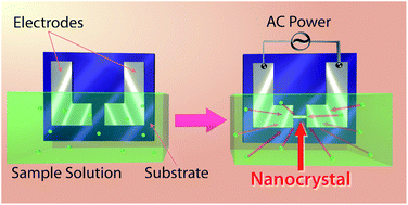 Graphical abstract: Site-selectively fabricated phthalocyanine neutral radical nanocrystals: structure and electrical properties