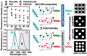 Graphical abstract: Quantum dot–layered double hydroxide composites for near-infrared emitting codes