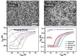 Graphical abstract: The role of tin oxide surface defects in determining nanonet FET response to humidity and photoexcitation