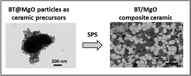 Graphical abstract: From core–shell BaTiO3@MgO to nanostructured low dielectric loss ceramics by spark plasma sintering