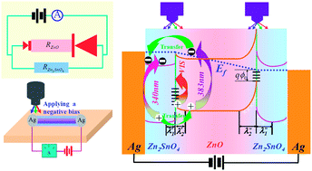 Graphical abstract: Individual Ohmic contacted ZnO/Zn2SnO4 radial heterostructured nanowires as photodetectors with a broad-spectral-response: injection of electrons into/from interface states