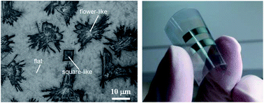 Graphical abstract: A facile process to produce highly conductive poly(3,4-ethylenedioxythiophene) films for ITO-free flexible OLED devices