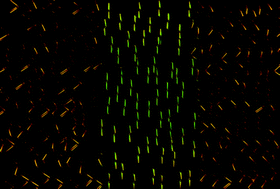 Graphical abstract: Holographic memory devices based on a single-component phototropic liquid crystal