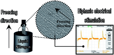 Graphical abstract: 2D-ice templated titanium oxide films as advanced conducting platforms for electrical stimulation