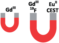 Graphical abstract: Enhancing magnetic resonance imaging with contrast agents for ultra-high field strengths