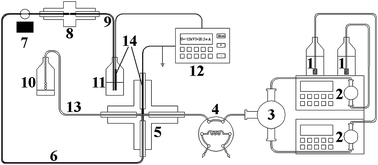 Graphical abstract: A pressure-driven capillary electrophoretic system with injection valve sampling