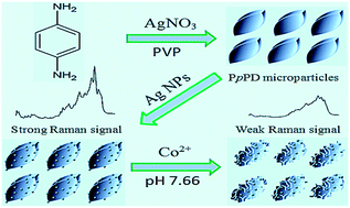 Graphical abstract: Raman scattering detection of cobalt(ii) ions based on their specific etching effect on leaf-like poly(p-phenylenediamine) microcrystals