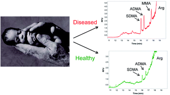 Graphical abstract: Determination of methylarginines in infant plasma by CE-LIF