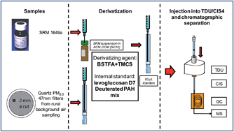 Graphical abstract: Derivatization and analysis of levoglucosan and PAHs in ambient air particulate matter by moderate temperature thermal desorption coupled with GC/MS
