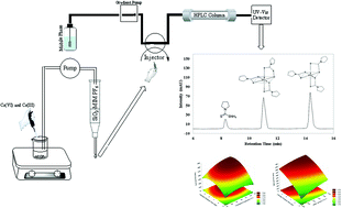 Graphical abstract: Solid-phase extraction and HPLC-UV detection of Cr(iii) and Cr(vi) using ionic liquid-functionalized silica as a hydrophobic sorbent
