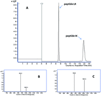 Graphical abstract: Quantification of CP4 EPSPS in genetically modified Nicotiana tabacum leaves by LC-MS/MS with 18O-labelling