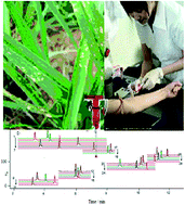 Graphical abstract: Rapid simultaneous determination of herbicides in human serum by UPLC-ESI-MS