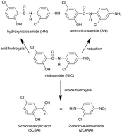 Graphical abstract: Simultaneous determination of niclosamide and its degradates in water by LC-MS/MS