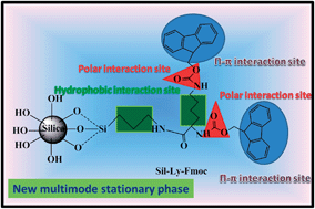 Graphical abstract: Multi-mode chromatographic evaluation of a new lysine-silica stationary phase for high-performance liquid chromatography