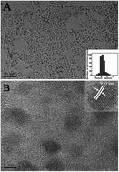 Graphical abstract: Microwave-assisted aqueous synthesis of Mn-doped ZnS quantum dots and their room-temperature phosphorescence detection of indapamide