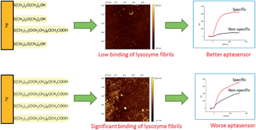 Graphical abstract: Low-fouling SPR detection of lysozyme and its aggregates