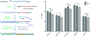Graphical abstract: A universal linker-RT PCR based quantitative method for the detection of circulating miRNAs