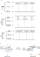 Graphical abstract: Reversible multi-control fluorescent switch and molecular logic gate based on selective recognition of Fe3+ and its application to multiplex detection
