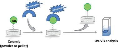 Graphical abstract: Efficient quantification of primary amine functions grafted onto apatite ceramics by using two UV-Vis spectrophotometric methods
