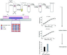 Graphical abstract: Analytical validation of a Biochip prototype for integrated analysis of AFP-IgM and SCCA-IgM serum biomarkers in patients with liver cirrhosis and hepatocellular carcinoma