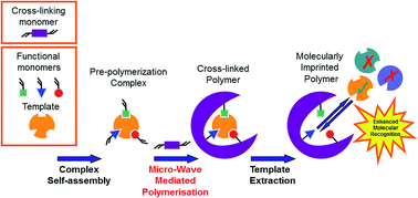 Graphical abstract: Microwave-assisted synthesis of resveratrol imprinted polymers with enhanced selectivity
