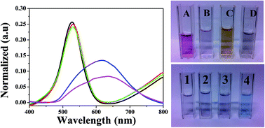 Graphical abstract: A fast and highly sensitive method for the detection of canine distemper virus by the naked eye