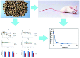 Graphical abstract: Forsythiaside stability in pretreated rat plasma and its pharmacokinetics after i.v. administration