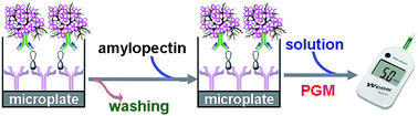 Graphical abstract: Biofunctionalized dendritic polyaniline nanofiber for in situ amplified glucometer-based enzyme immunoassay of tumor marker