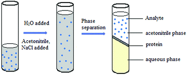 Graphical abstract: Determination of steroid hormones in milk using aqueous two-phase extraction coupled to liquid chromatography