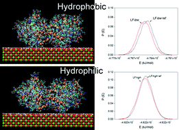 Graphical abstract: Adhesion of lactoferrin and bone morphogenetic protein-2 to a rutile surface: dependence on the surface hydrophobicity