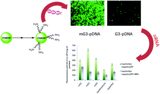 Graphical abstract: Oligoamine-tethered low generation polyamidoamine dendrimers as potential nucleic acid carriers