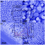 Graphical abstract: Facile and rapid growth of Ag2S microrod arrays as efficient substrates for both SERS detection and photocatalytic degradation of organic dyes