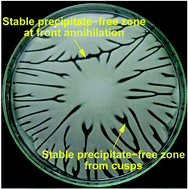 Graphical abstract: Diffusive fingering in a precipitation reaction driven by autocatalysis