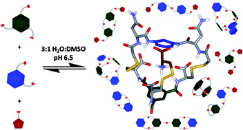 Graphical abstract: Constitutional self-selection from dynamic combinatorial libraries in aqueous solution through supramolecular interactions