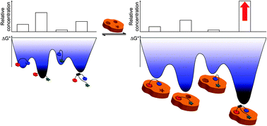 Graphical abstract: Probing secondary interactions in biomolecular recognition by dynamic combinatorial chemistry