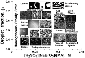 Graphical abstract: Coupled chemical oscillators and emergent system properties