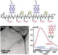 Graphical abstract: Introducing charge transfer functionality into prebiotically relevant β-sheet peptide fibrils