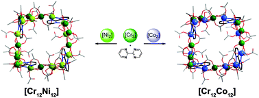 Graphical abstract: Folded Cr12Co12 and Cr12Ni12 wheels: a sharp increase in nuclearity of heterometallic chromium rings