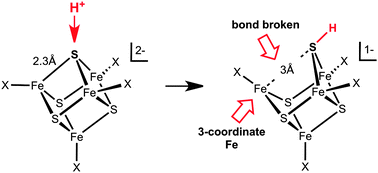 Graphical abstract: Unexpected explanation for the enigmatic acid-catalysed reactivity of [Fe4S4X4]2− clusters