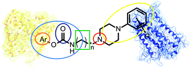 Graphical abstract: Applying a multitarget rational drug design strategy: the first set of modulators with potent and balanced activity toward dopamine D3 receptor and fatty acid amide hydrolase