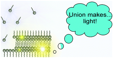 Graphical abstract: Self-assembly of a neutral platinum(ii) complex into highly emitting microcrystalline fibers through metallophilic interactions