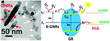 Graphical abstract: Highly-dispersed boron-doped graphene nanoribbons with enhanced conductibility and photocatalysis
