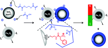 Graphical abstract: Productive encounter: molecularly imprinted nanoparticles prepared using magnetic templates