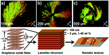 Graphical abstract: Long-range ordered graphite oxide liquid crystals