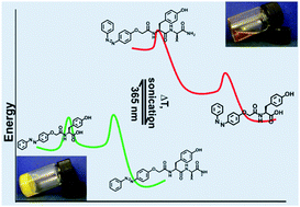 Graphical abstract: Biocatalytic amide condensation and gelation controlled by light