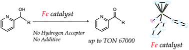 Graphical abstract: Effective dehydrogenation of 2-pyridylmethanol derivatives catalyzed by an iron complex