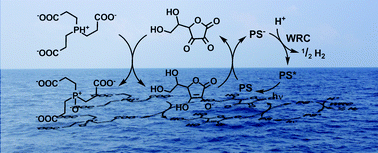 Graphical abstract: Ascorbate as an electron relay between an irreversible electron donor and Ru(ii) or Re(i) photosensitizers