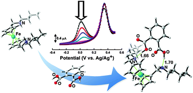 Graphical abstract: Electrochemical discrimination of phthalic acid among three phthalic acid isomers based on an N-butylaminomethyl-ferrocene derivative