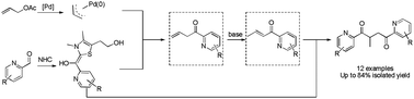 Graphical abstract: Dual-function Pd/NHC catalysis: tandem allylation–isomerization–conjugate addition that allows access to pyrroles, thiophenes and furans