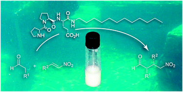 Graphical abstract: Peptide catalysis in aqueous emulsions